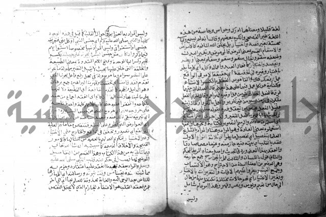 نسيم الرياض 3 