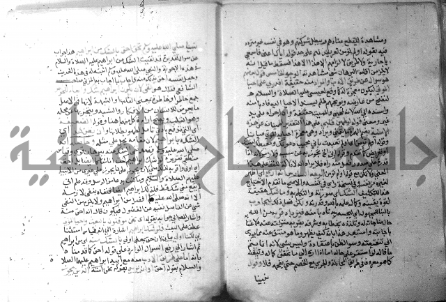 نسيم الرياض 3 