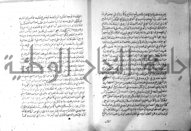 نسيم الرياض 3 