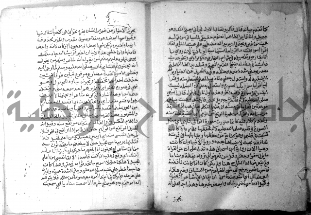 نسيم الرياض 3 