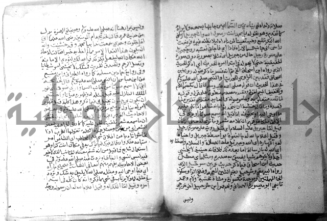 نسيم الرياض 3 