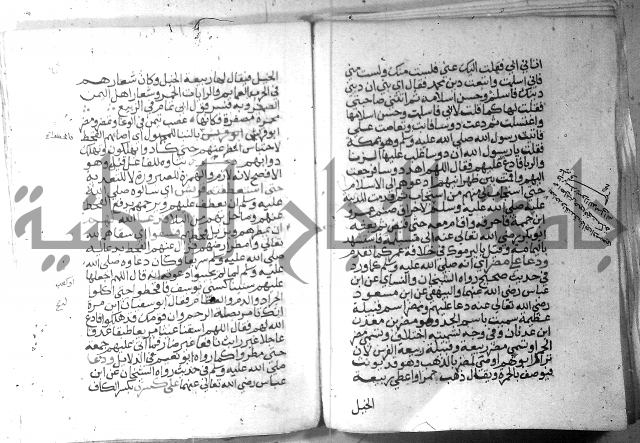 نسيم الرياض 3 