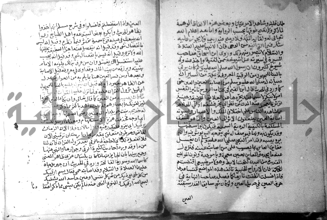 نسيم الرياض 3 