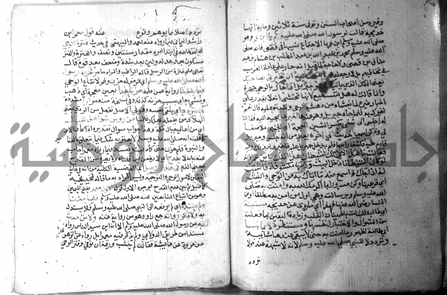 نسيم الرياض 3 