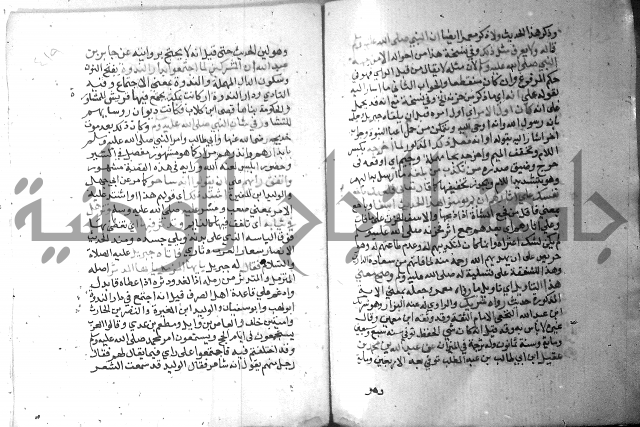 نسيم الرياض 3 