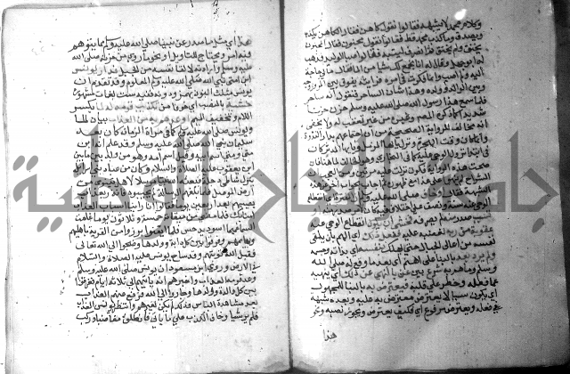 نسيم الرياض 3 