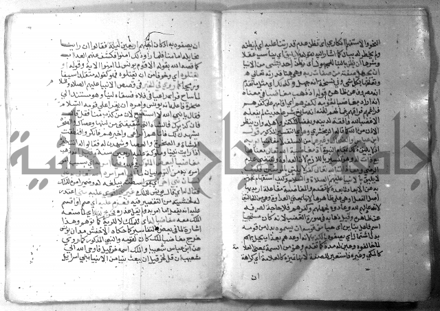 نسيم الرياض 3 