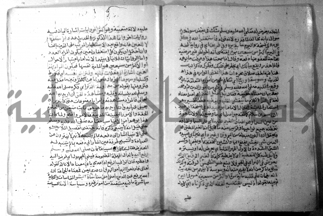 نسيم الرياض 3 