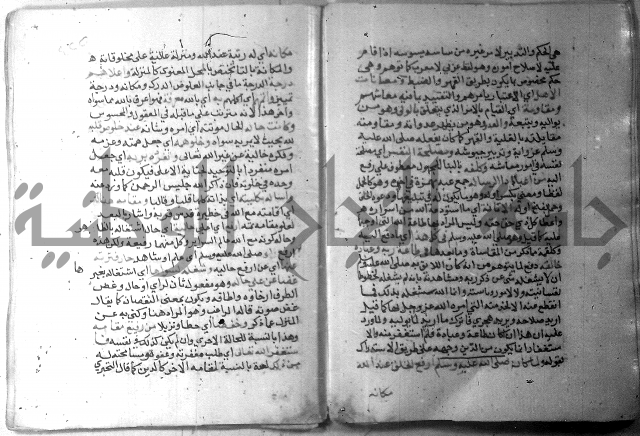 نسيم الرياض 3 