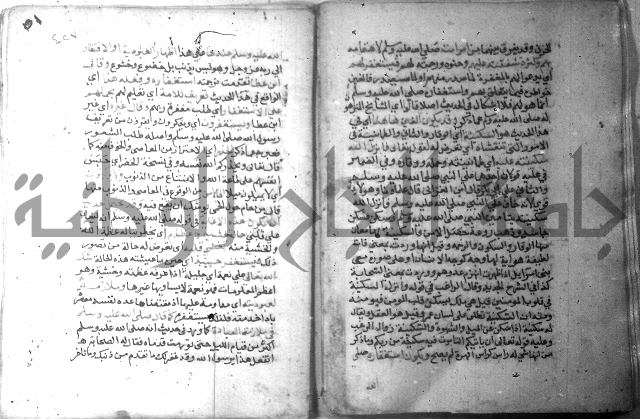 نسيم الرياض 3 