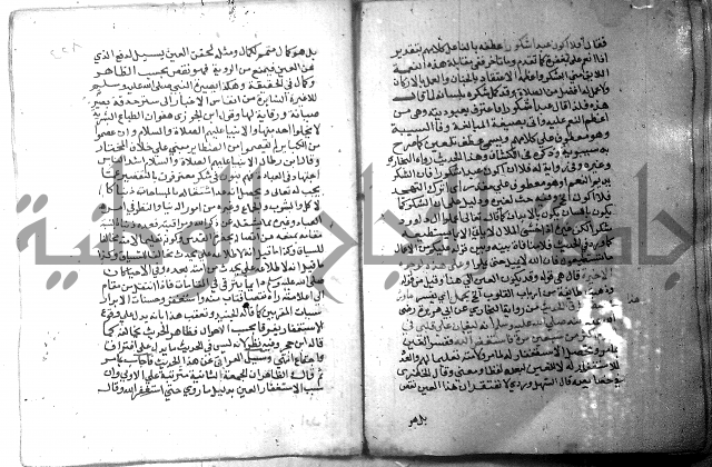 نسيم الرياض 3 