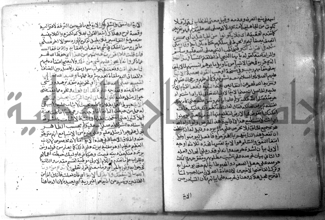 نسيم الرياض 3 