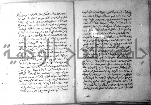 نسيم الرياض 3 