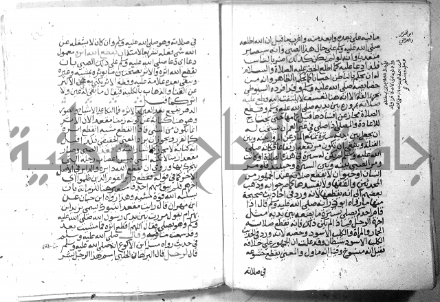 نسيم الرياض 3 