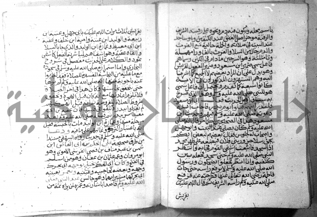 نسيم الرياض 3 