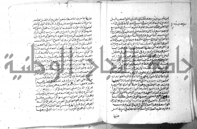 نسيم الرياض 3 