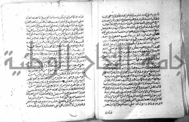 نسيم الرياض 3 