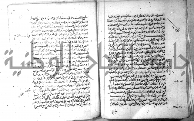 نسيم الرياض 3 