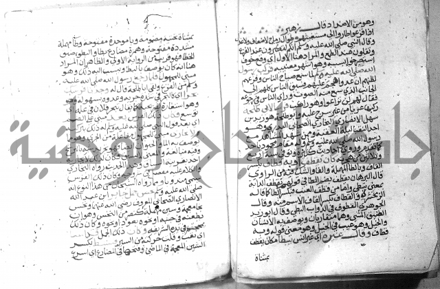 نسيم الرياض 3 