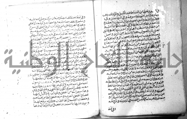 نسيم الرياض 3 