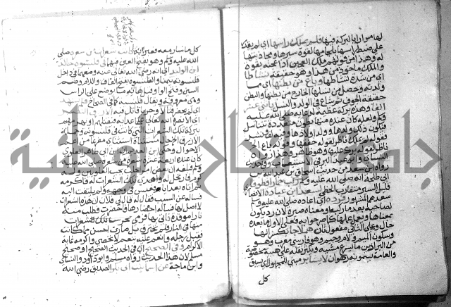 نسيم الرياض 3 