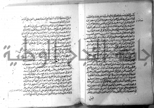 نسيم الرياض 3 