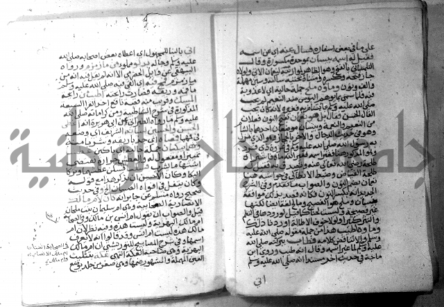 نسيم الرياض 3 