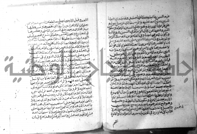 نسيم الرياض 3 