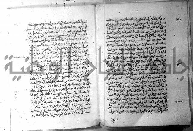 نسيم الرياض 3 