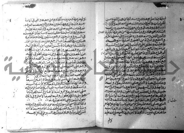 نسيم الرياض 3 