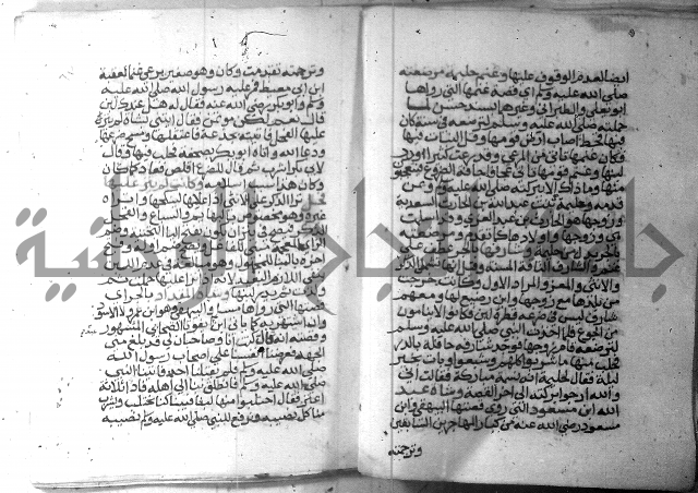 نسيم الرياض 3 