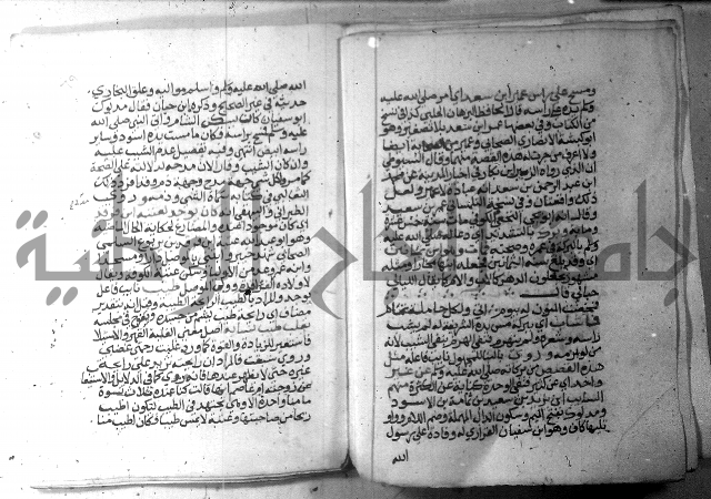 نسيم الرياض 3 