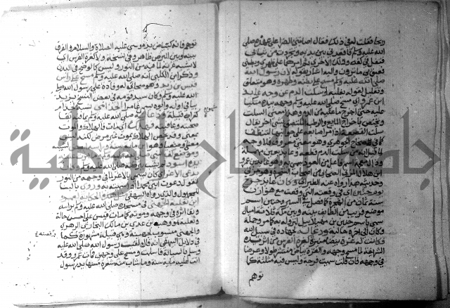 نسيم الرياض 3 