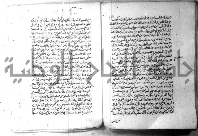 نسيم الرياض 3 