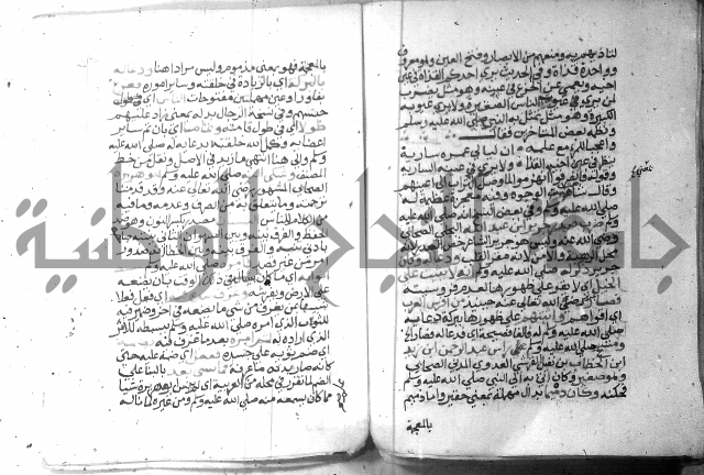 نسيم الرياض 3 