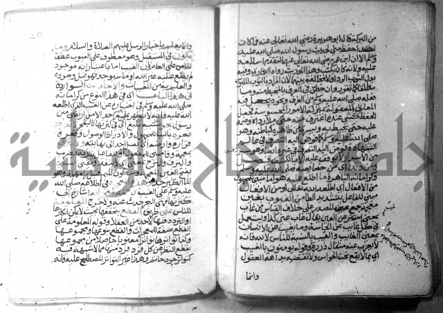 نسيم الرياض 3 