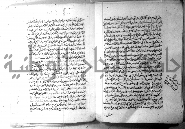 نسيم الرياض 3 