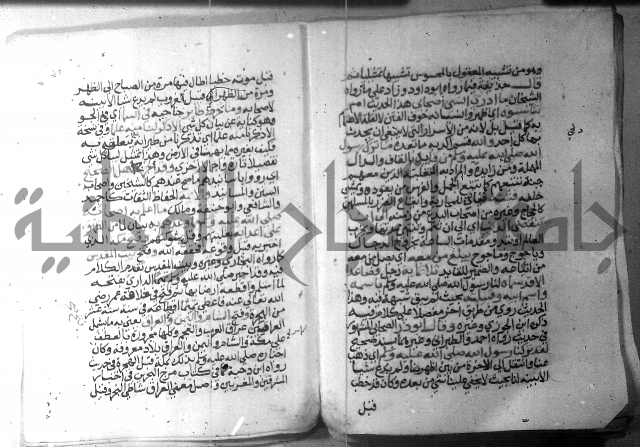 نسيم الرياض 3 