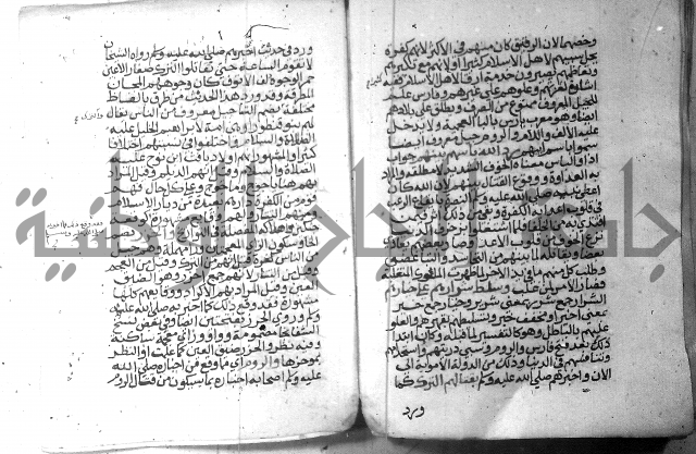 نسيم الرياض 3 