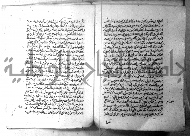 نسيم الرياض 3 