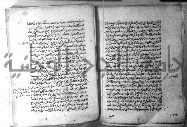 نسيم الرياض 3 