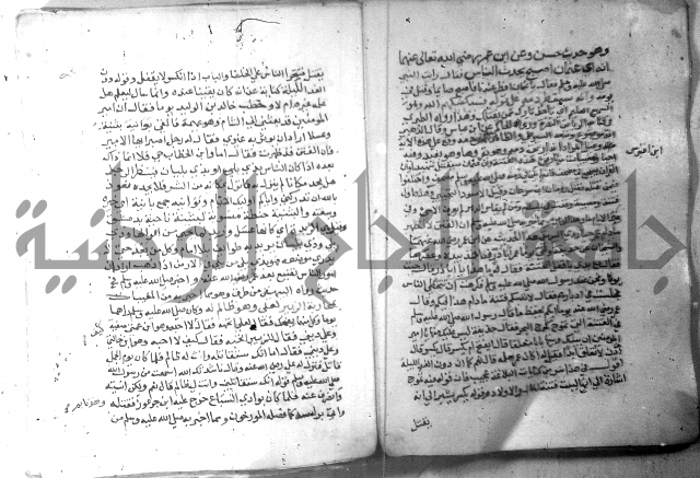 نسيم الرياض 3 