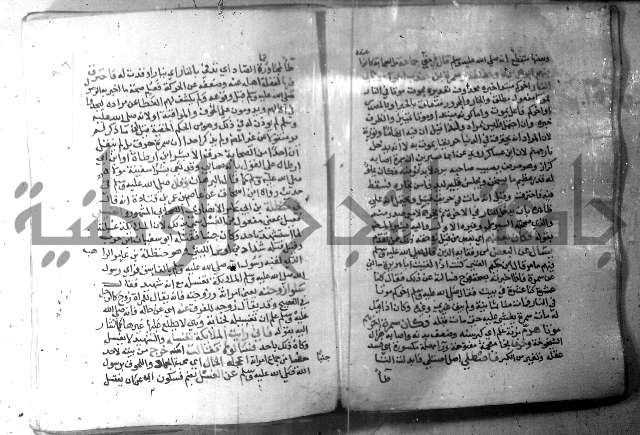 نسيم الرياض 3 