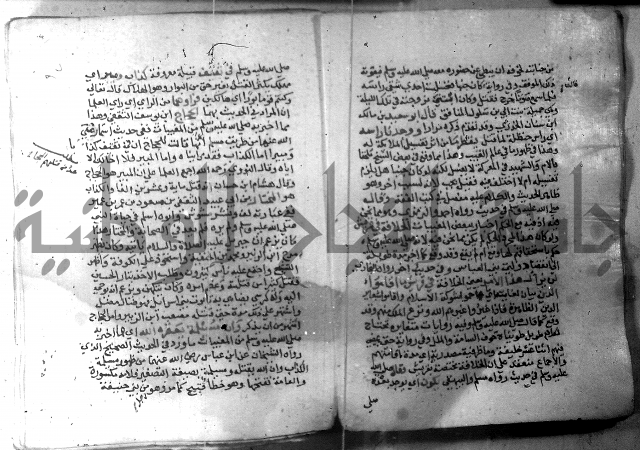 نسيم الرياض 3 