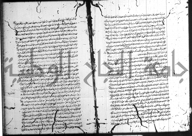 سيبويه 
