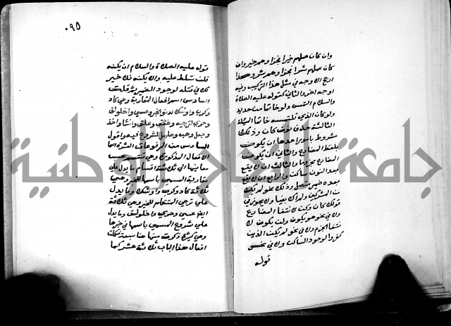 شرح شذور الذهب في معرفة كلام العرب 