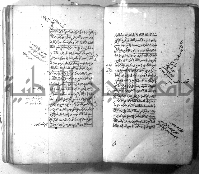 شرح الشافية 