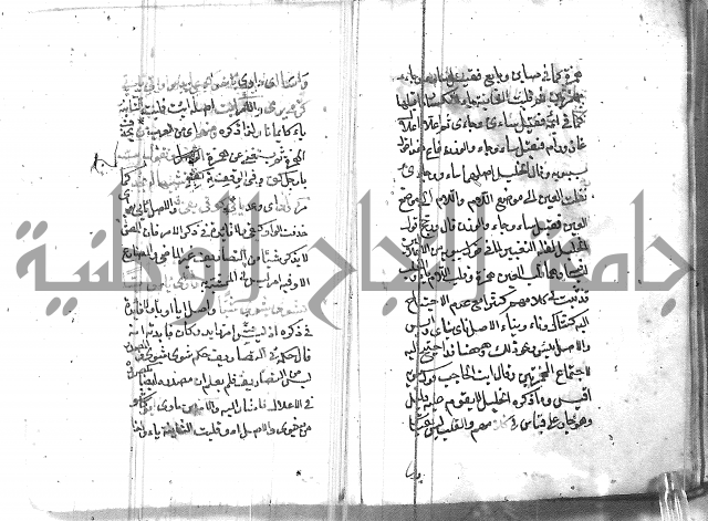 التفنن في الصرف