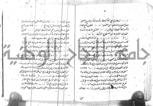 مذيل الشفا