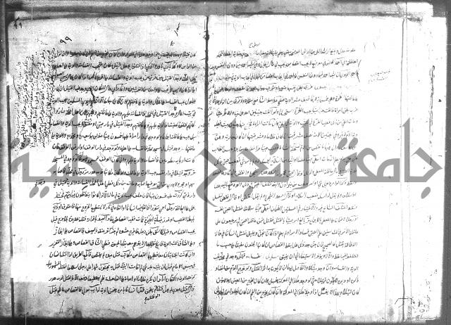منية الفتى 